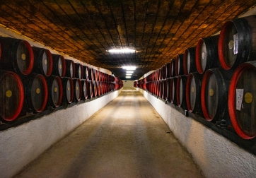 Quinta de la Rosa